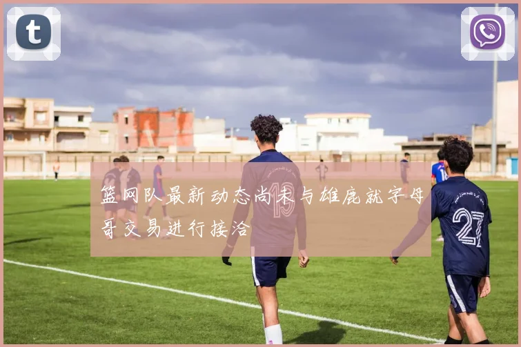 篮网队最新动态尚未与雄鹿就字母哥交易进行接洽