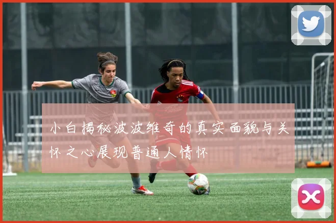 小白揭秘波波维奇的真实面貌与关怀之心展现普通人情怀
