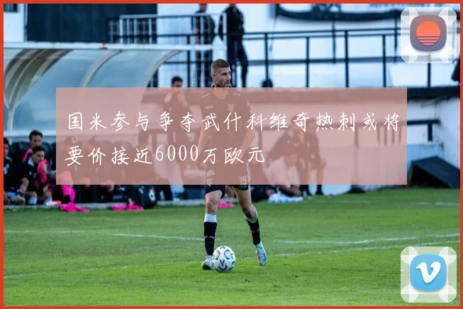 国米参与争夺武什科维奇热刺或将要价接近6000万欧元